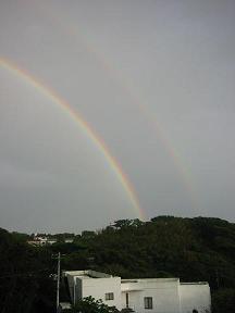 雨上がりに見た虹です。